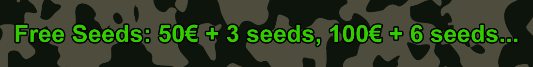 marihuanasamen, hanfsamen, free seeds