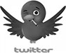 akseeds twitter